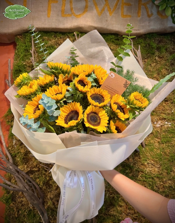 Women Day