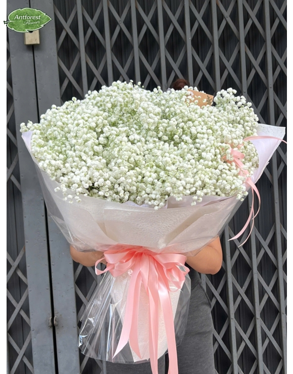 Women Day